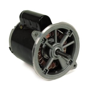 Wayne Burner Motor 115V